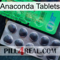 Anaconda Tablets new04